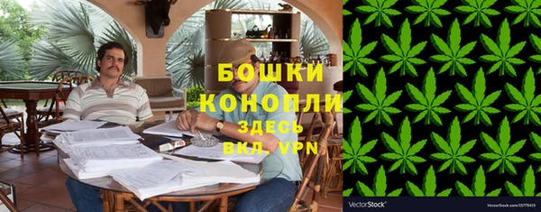 PSILOCYBIN Алзамай