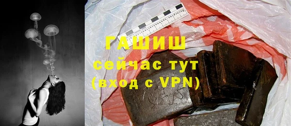 PSILOCYBIN Алзамай