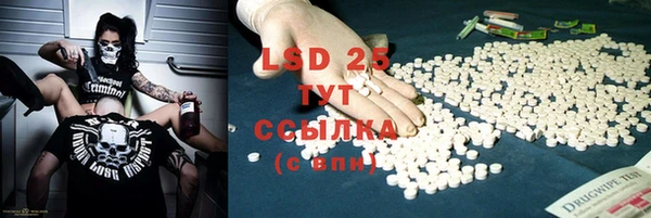 PSILOCYBIN Алзамай