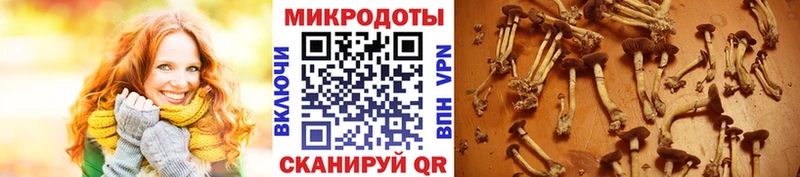 цены наркотик Билибино Псилоцибиновые грибы Magic Shrooms